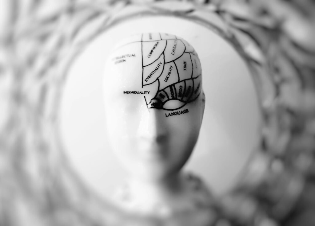 pexels photo 724994 724994 Close-up black and white image of a phrenology head with brain sections labeled.